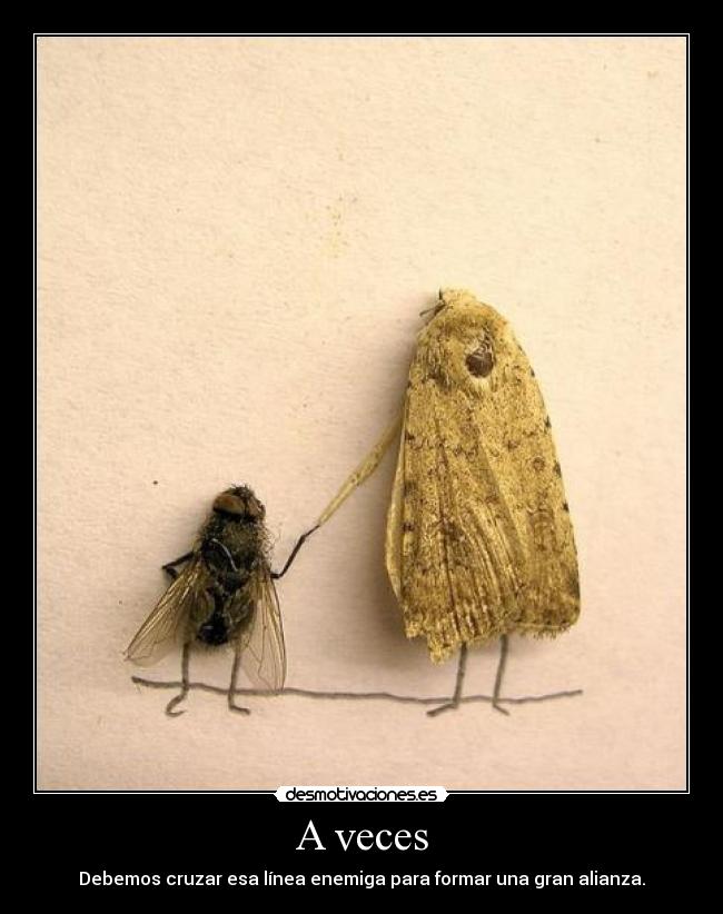 carteles veces desmotivaciones