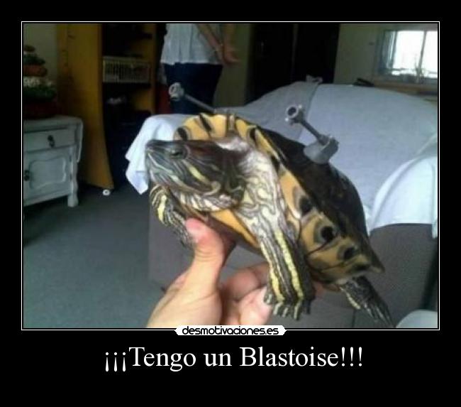 ¡¡¡Tengo un Blastoise!!! -