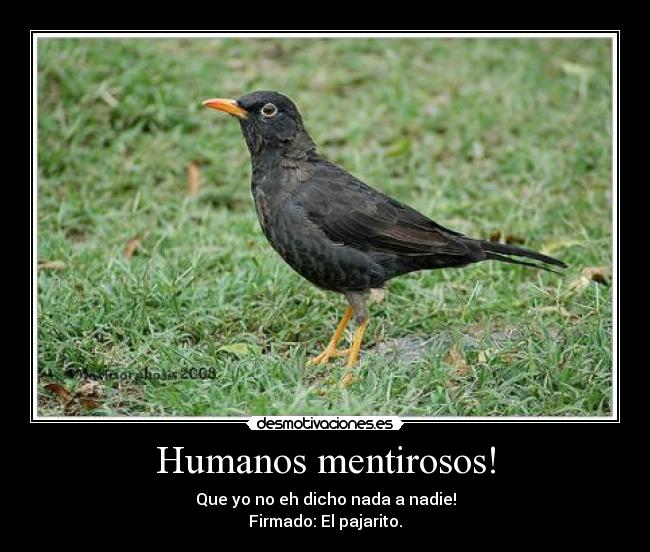 Humanos mentirosos! - 
