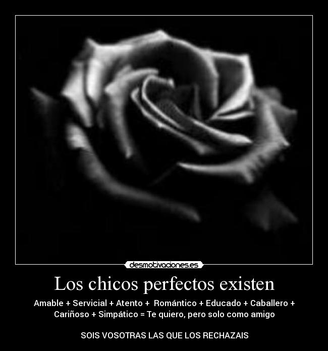 Los chicos perfectos existen - Amable + Servicial + Atento +  Romántico + Educado + Caballero +
Cariñoso + Simpático = Te quiero, pero solo como amigo

SOIS VOSOTRAS LAS QUE LOS RECHAZAIS