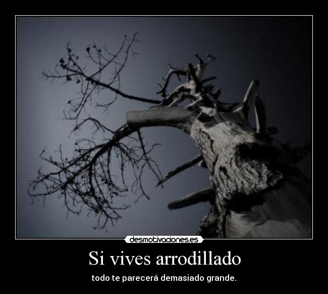 Si vives arrodillado -