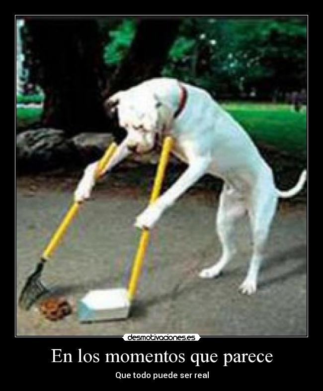 En los momentos que parece - Que todo puede ser real