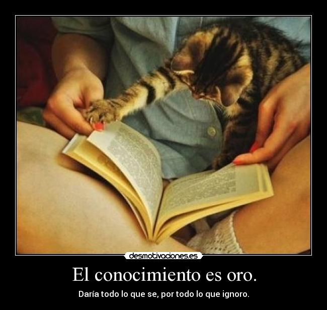 El conocimiento es oro. - 