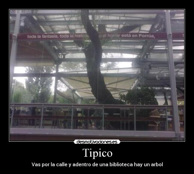 Tipico - 