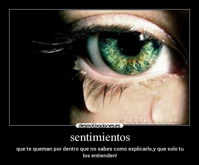 sentimientos -