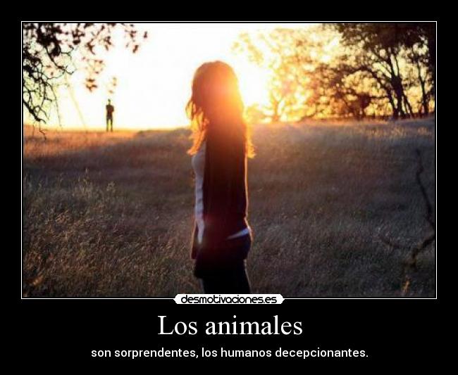 Los animales - son sorprendentes, los humanos decepcionantes.