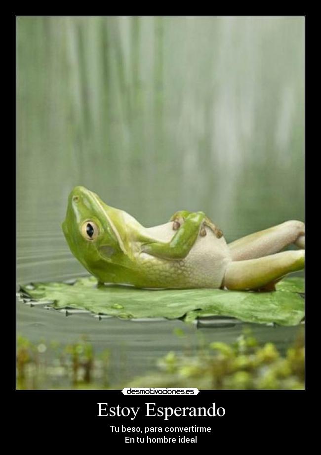 Estoy Esperando - Tu beso, para convertirme
En tu hombre ideal