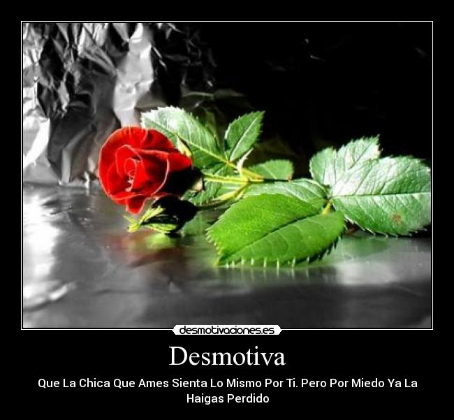 Desmotiva - Que La Chica Que Ames Sienta Lo Mismo Por Ti. Pero Por Miedo Ya La
Haigas Perdido