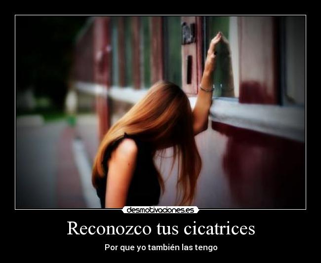 Reconozco tus cicatrices - 