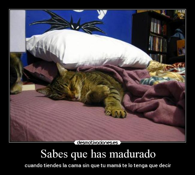 Sabes que has madurado - cuando tiendes la cama sin que tu mamá te lo tenga que decir