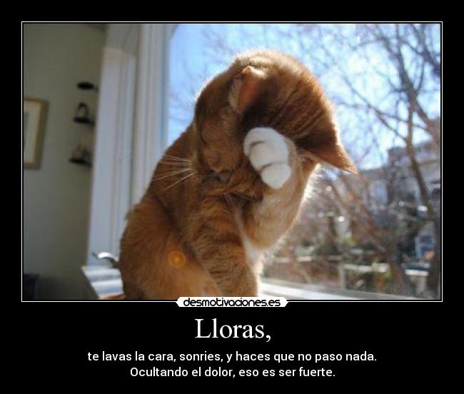 Lloras, - 