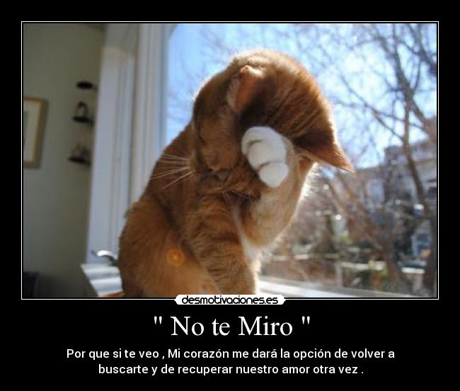 No te Miro -