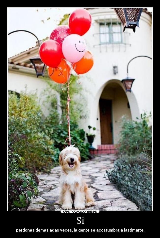 Si - perdonas demasiadas veces, la gente se acostumbra a lastimarte.