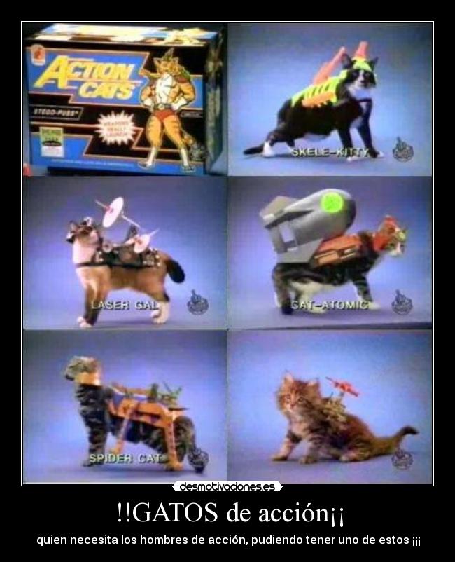 carteles gatos gatos accion los mejores spider cat action atomic desmotivaciones