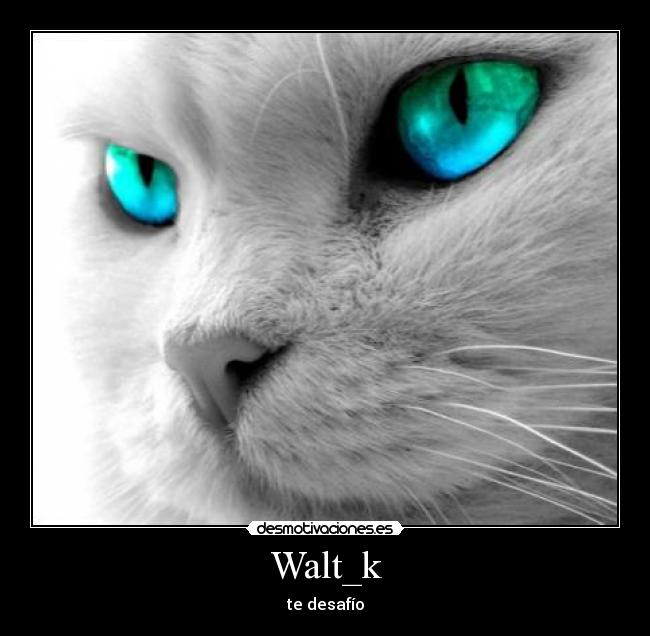 Walt_k -