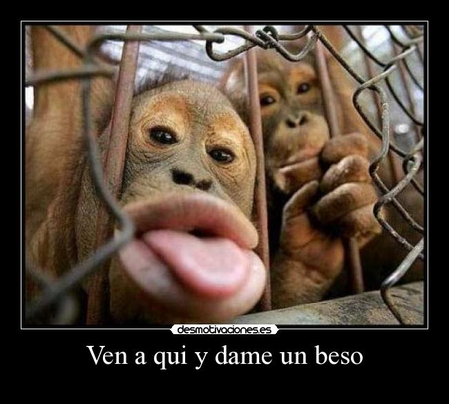 Ven a qui y dame un beso -
