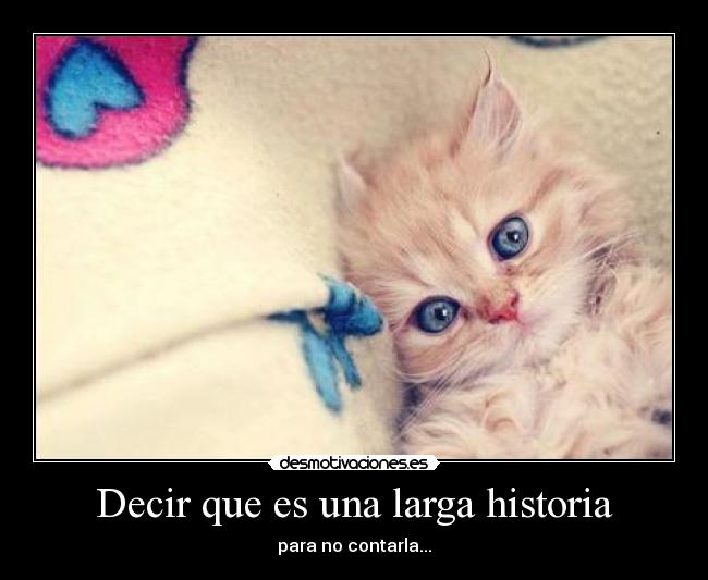 Decir que es una larga historia -