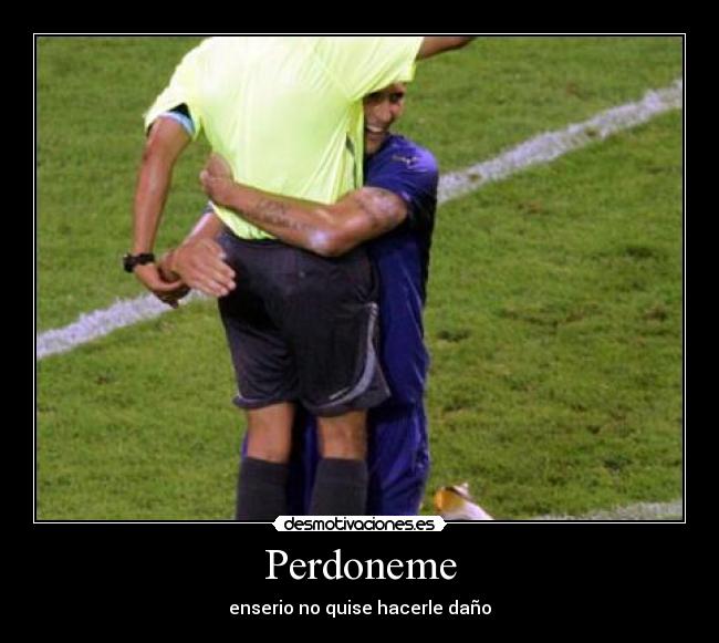 Perdoneme - enserio no quise hacerle daño