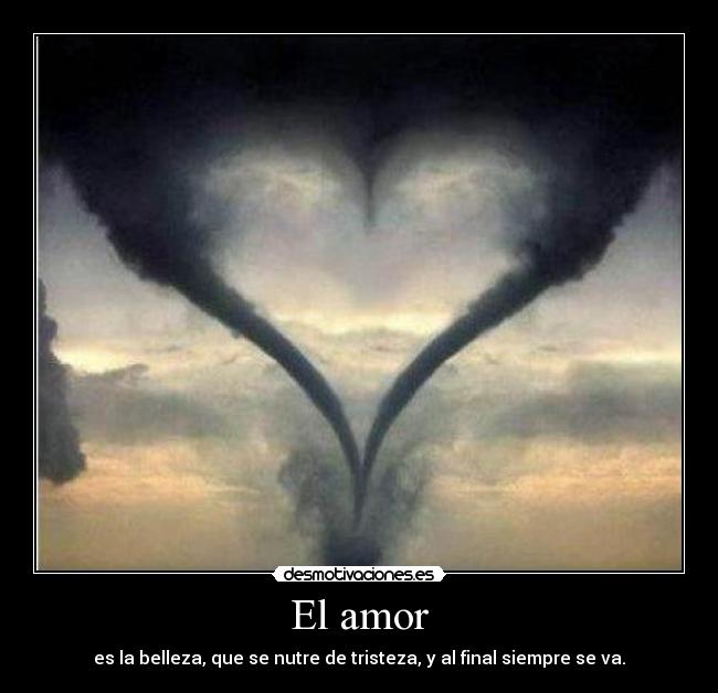 El amor - es la belleza, que se nutre de tristeza, y al final siempre se va.