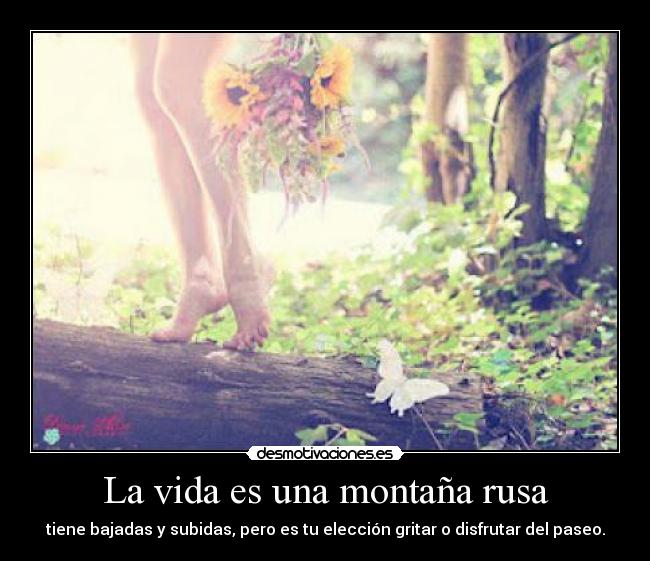 carteles vida vida una montana rusa tiene bajadas subidas pero eleccion gritar disfrutar del pas desmotivaciones
