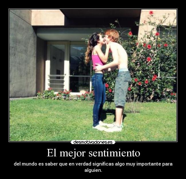 carteles enamoreeee asdasdasdasdasd desmotivaciones