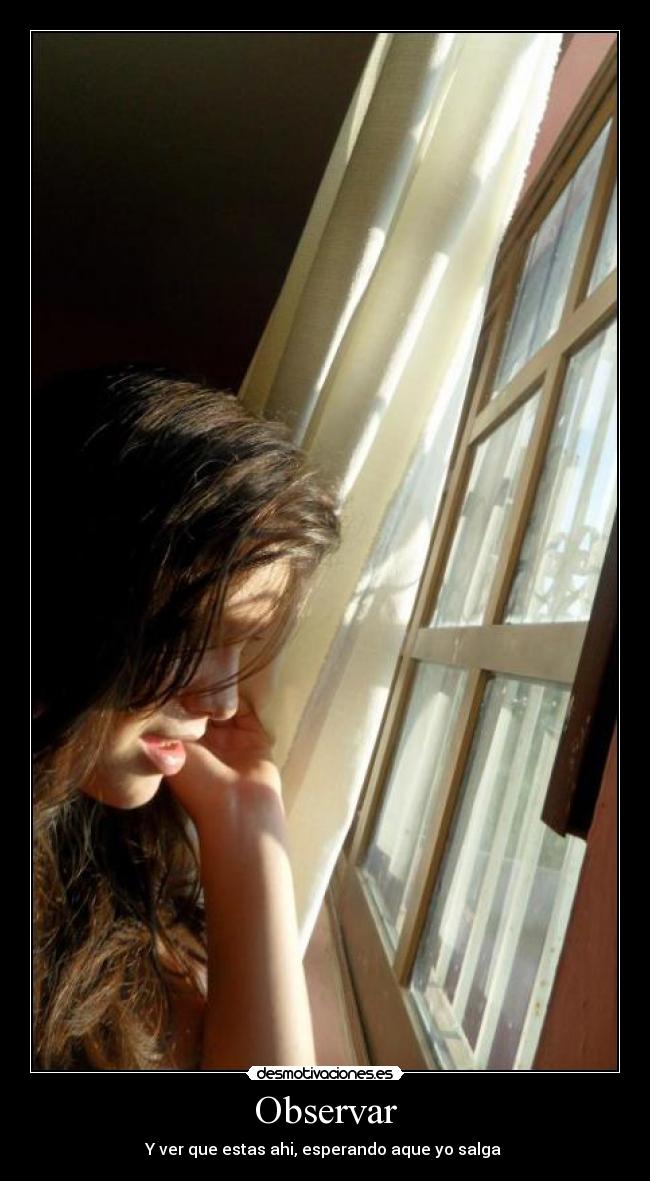 Observar -