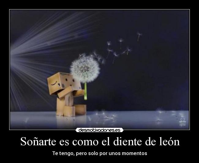 Soñarte es como el diente de león - Te tengo, pero solo por unos momentos