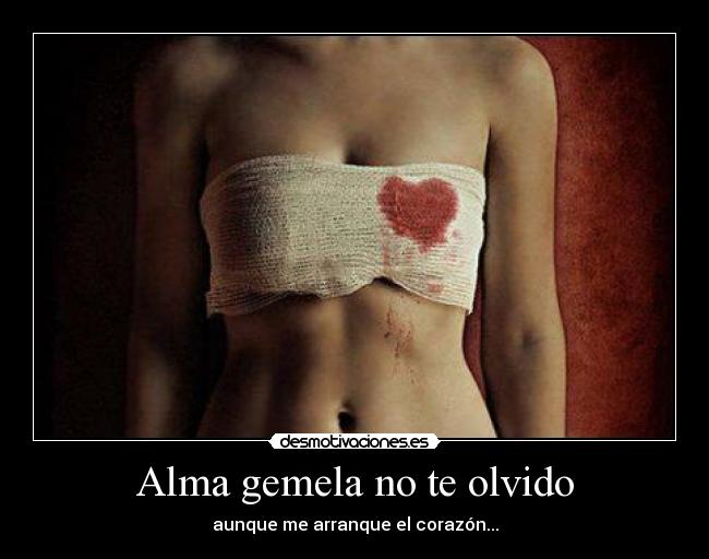 Alma gemela no te olvido - aunque me arranque el corazón...