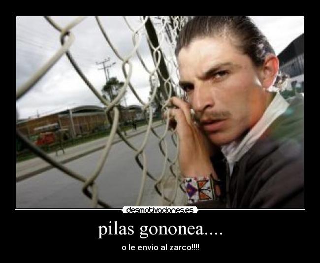 carteles tuty desmotivaciones