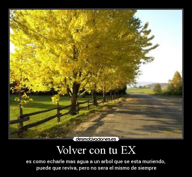 carteles rastafeliz desmotivaciones