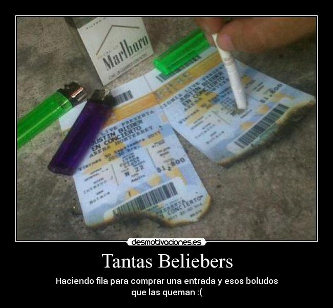 Tantas Beliebers -