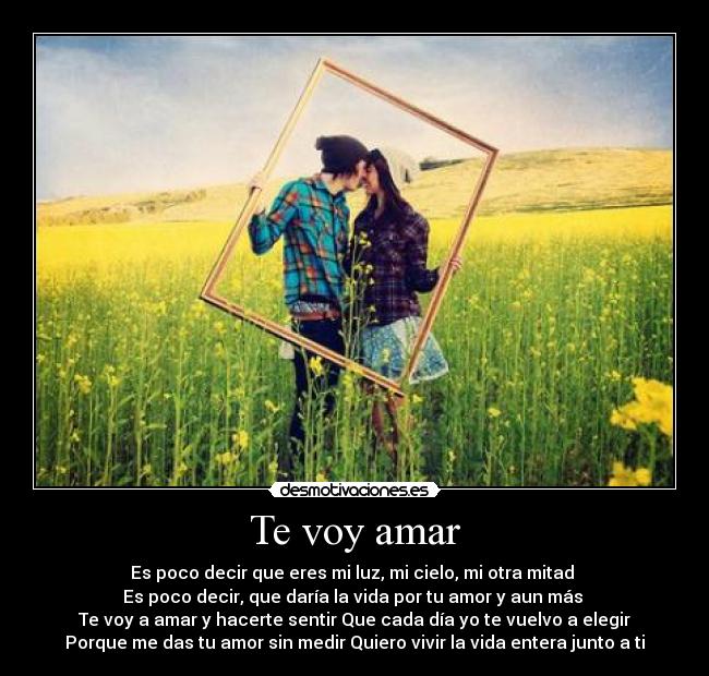 Te voy amar -