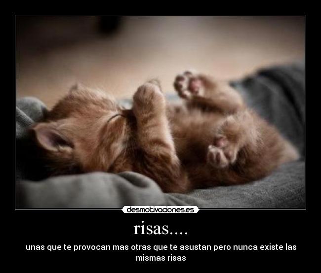 risas.... -