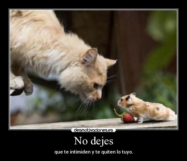 No dejes - que te intimiden y te quiten lo tuyo.