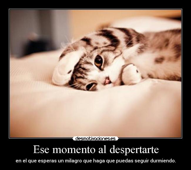 Ese momento al despertarte - en el que esperas un milagro que haga que puedas seguir durmiendo.