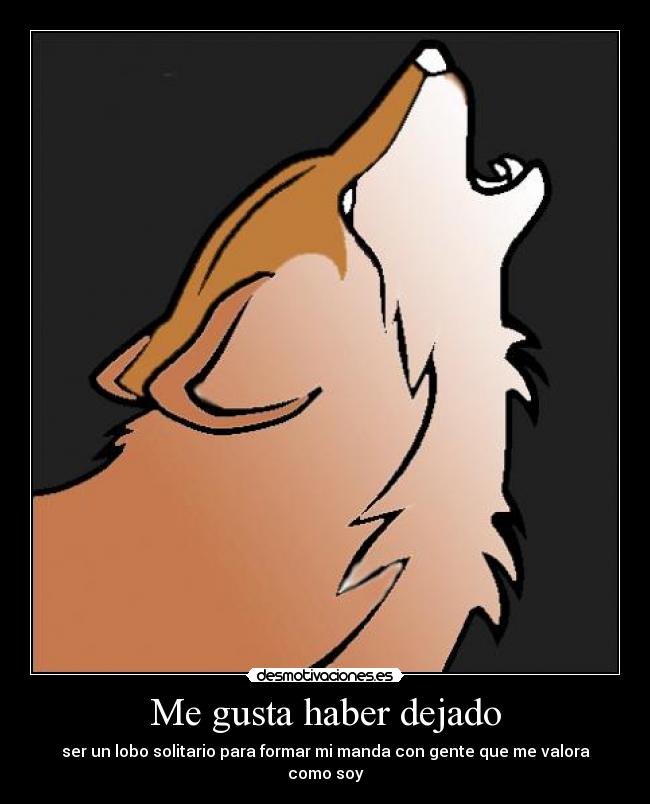 Me gusta haber dejado -