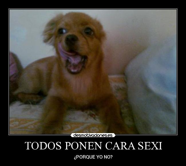 TODOS PONEN CARA SEXI - ¿PORQUE YO NO?