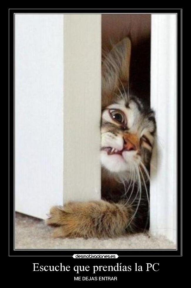 Escuche que prendías la PC - ME DEJAS ENTRAR