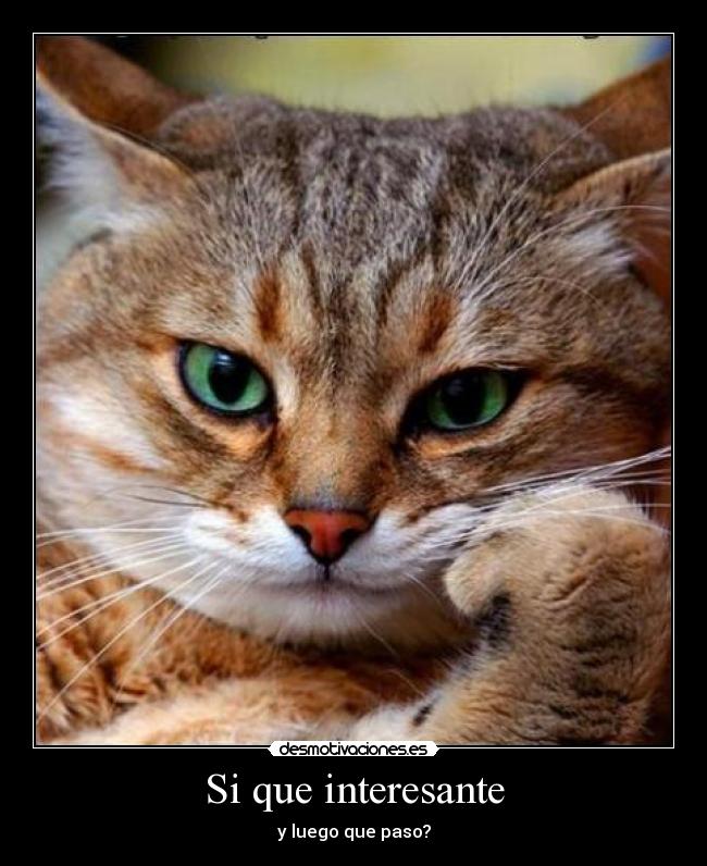 Si que interesante - y luego que paso?