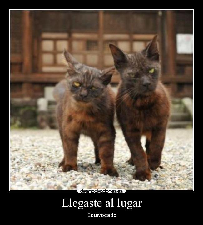 Llegaste al lugar - Equivocado