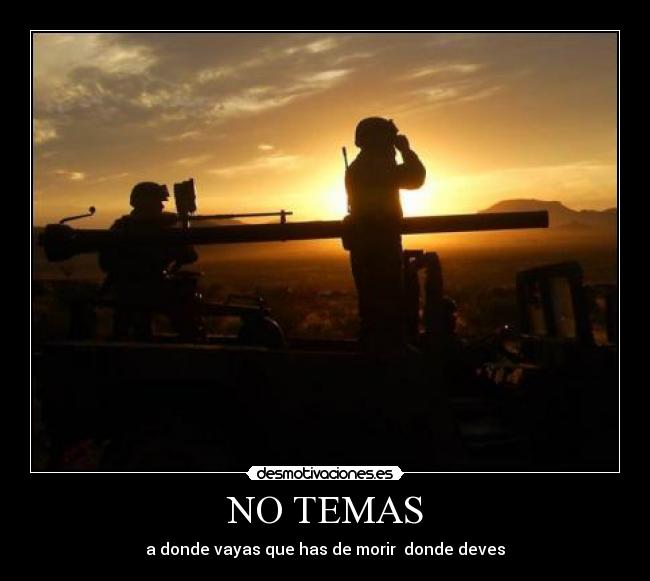 NO TEMAS - 