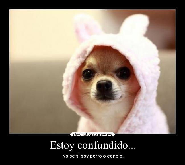 Estoy confundido... -