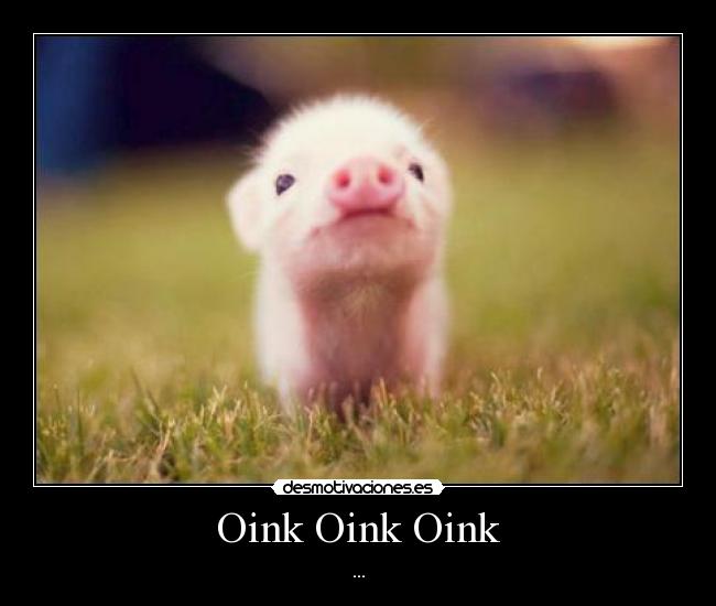 Oink Oink Oink -