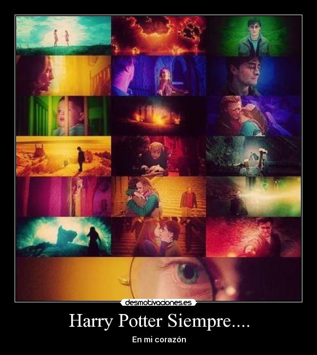Harry Potter Siempre.... -