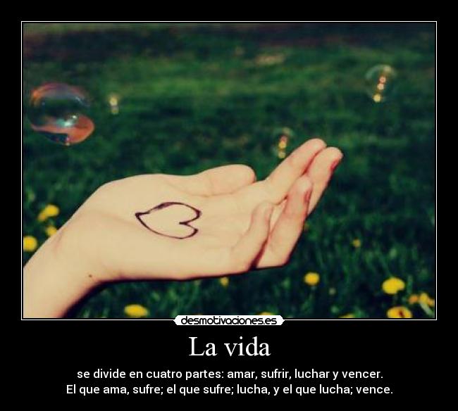 carteles vida frases desmotivaciones