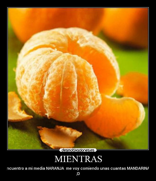 MIENTRAS - encuentro a mi media NARANJA me voy comiendo unas cuantas MANDARINAS ;D
