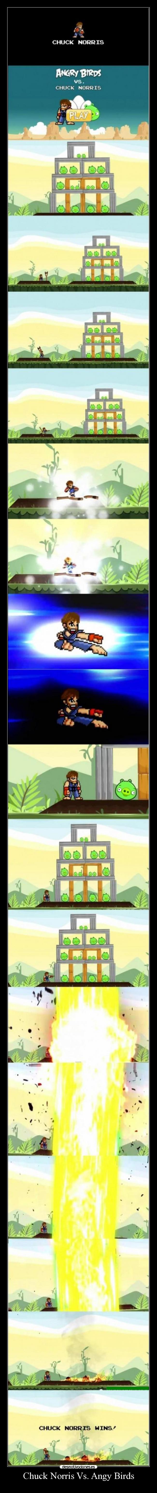 Chuck Norris Vs. Angy Birds -