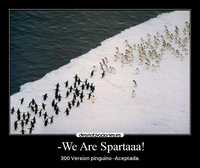 -We Are Spartaaa! - 300 Version pinguino -Aceptada.