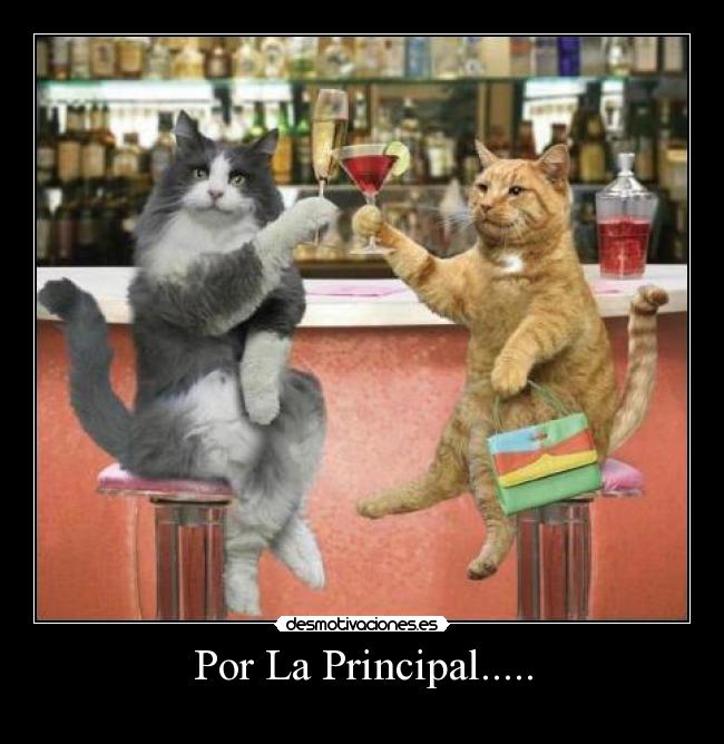 Por La Principal..... -