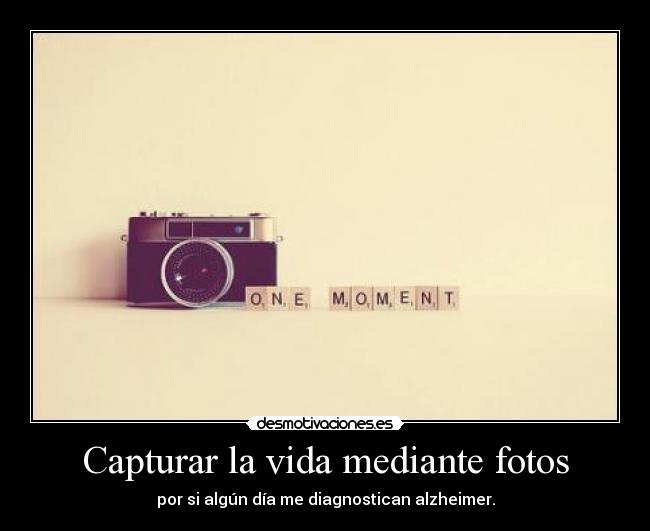 Capturar la vida mediante fotos - 